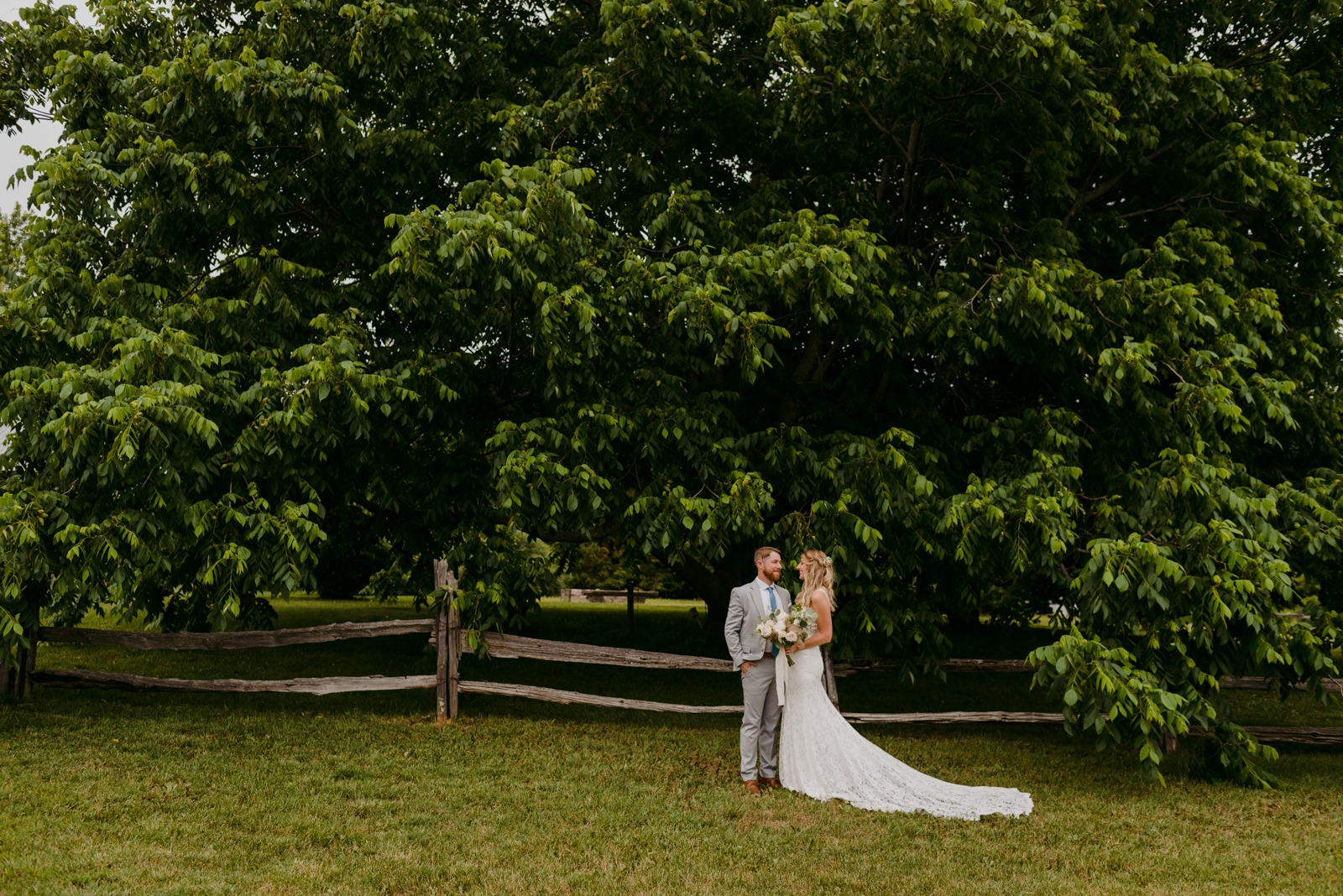 bride and groom standing by a wooden fence under a big tree