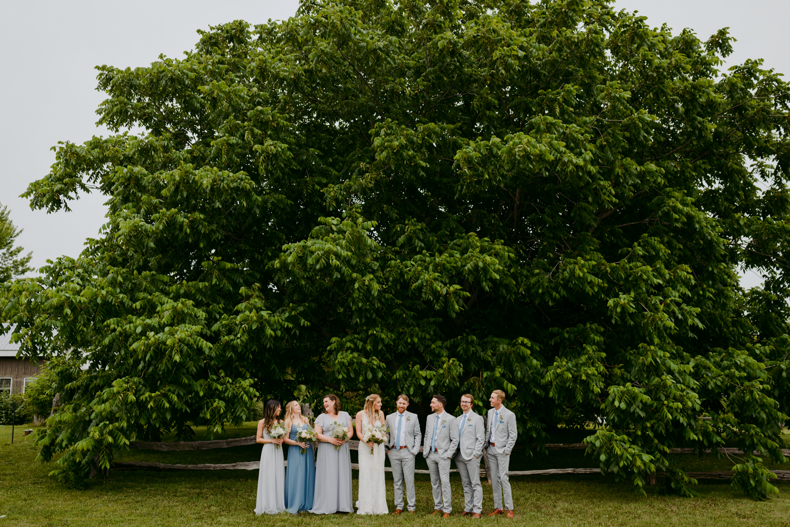 wedding party standing under big tree by wooden fence