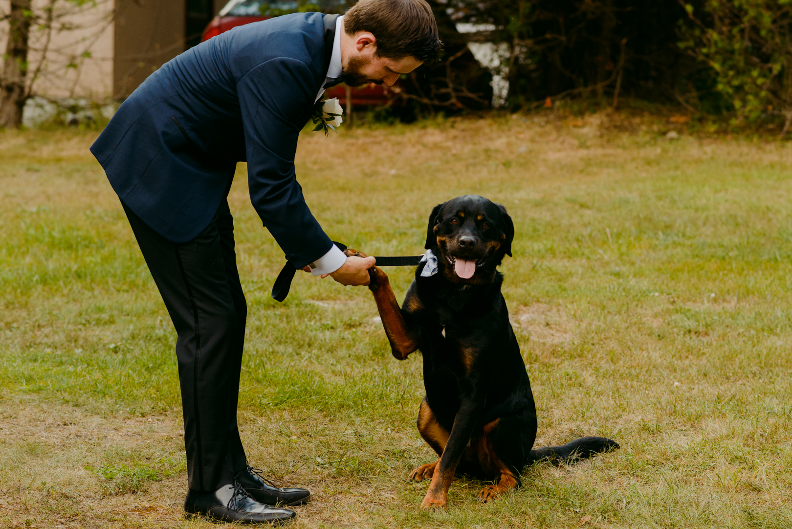 dog shaking a paw before wedding ceremony