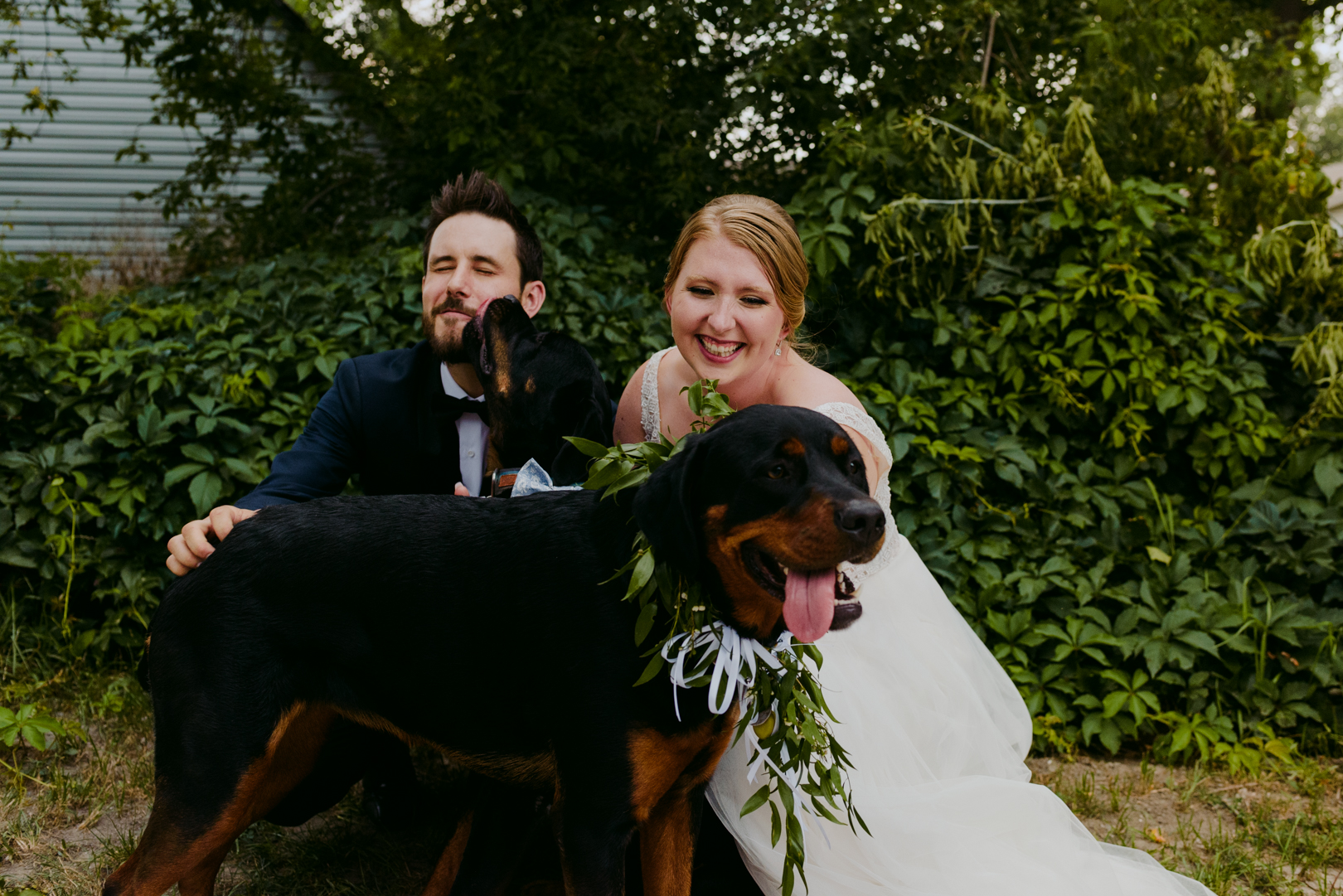 bride and groom with dogs on their wedding day
